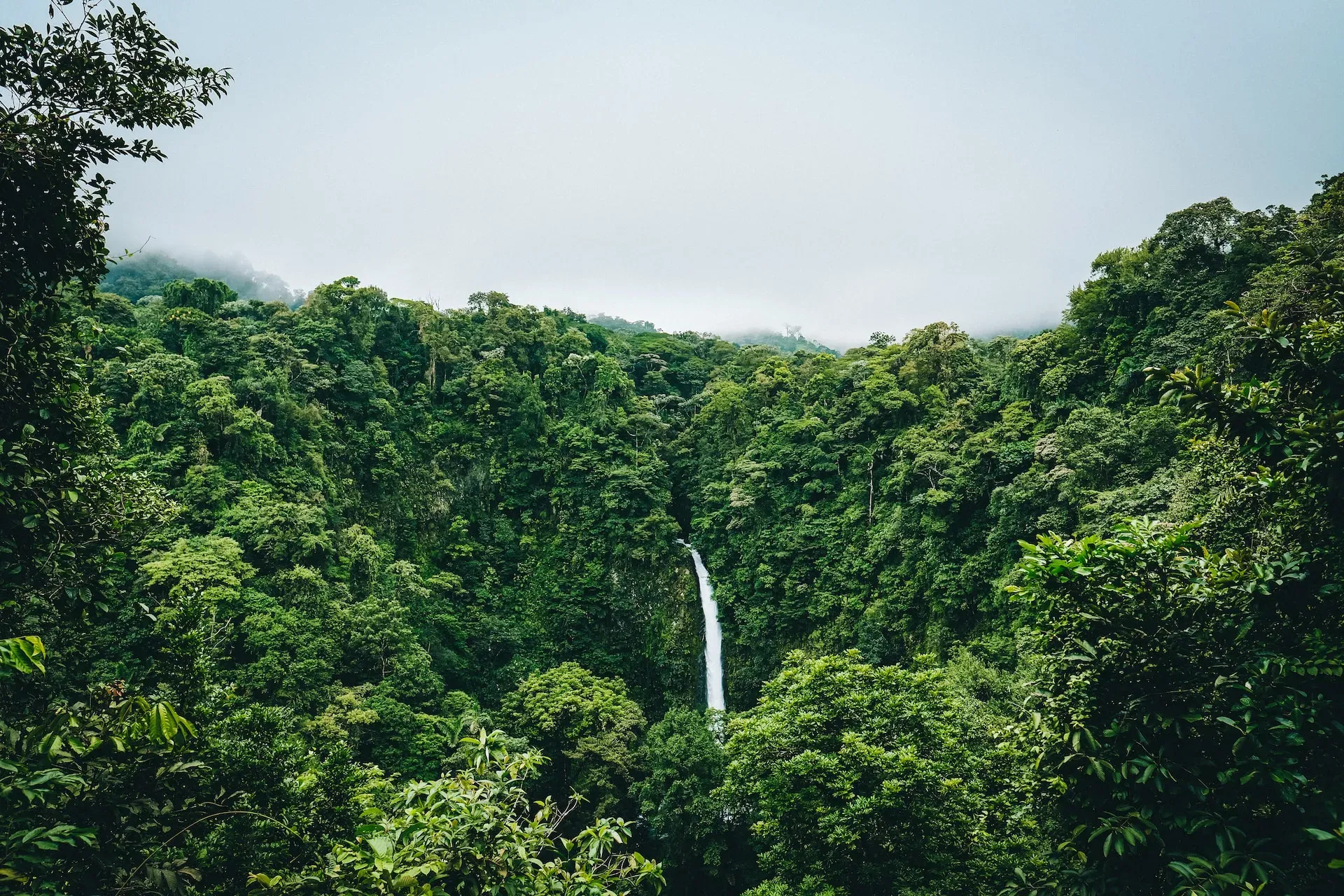 A waterfall cascading through dense green rainforest