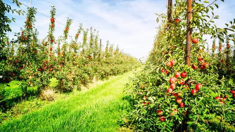 Nature targets and action: four lessons from the European Business & Biodiversity Forum