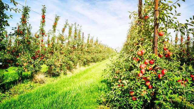 Nature targets and action: four lessons from the European Business & Biodiversity Forum