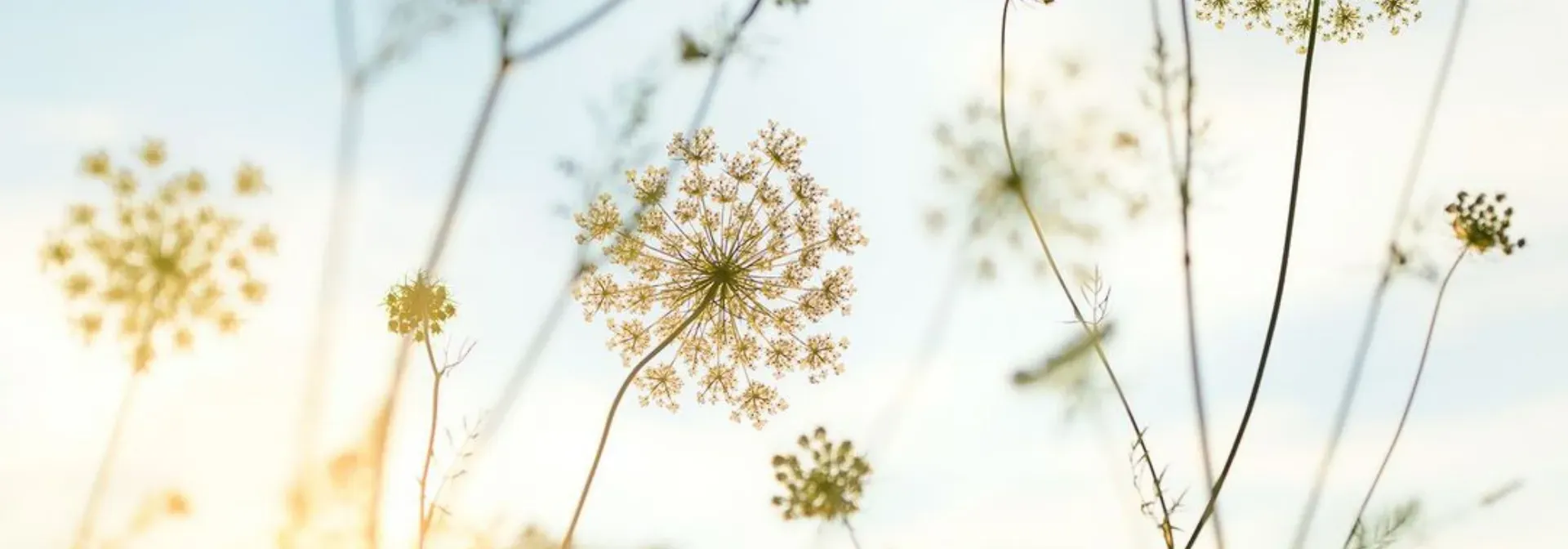 Nature Communication: Fear Freezes, Hope Galvanizes | FtH Ep. 11