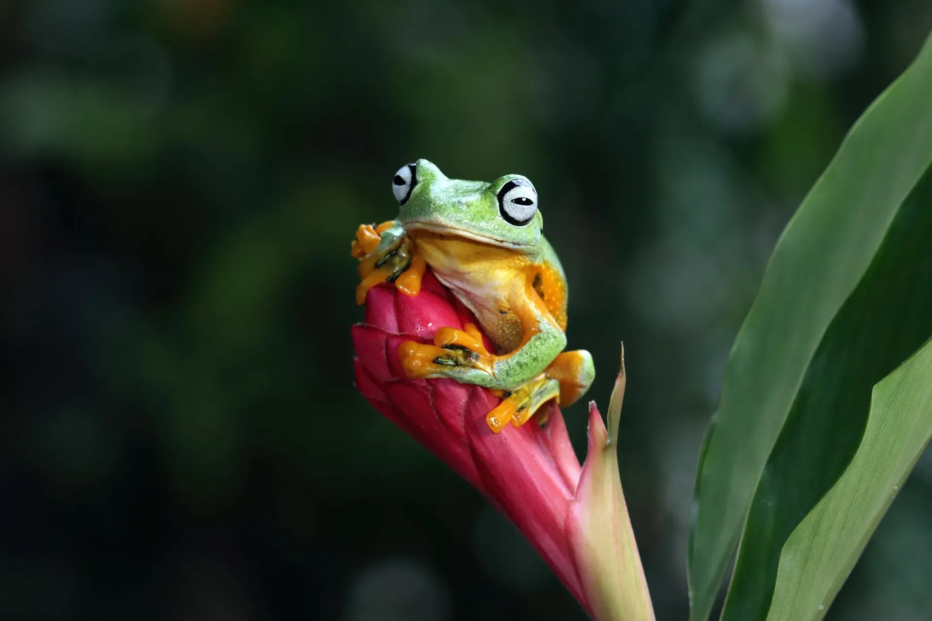 7 Reasons Why Your Business Must Prioritize Biodiversity