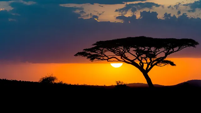 Decoding CSRD & ESRS: Guide to Nature & Biodiversity Reporting