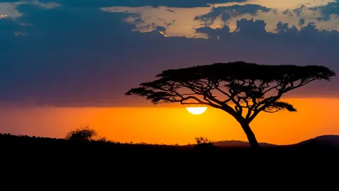 Decoding CSRD & ESRS: Guide to Nature & Biodiversity Reporting