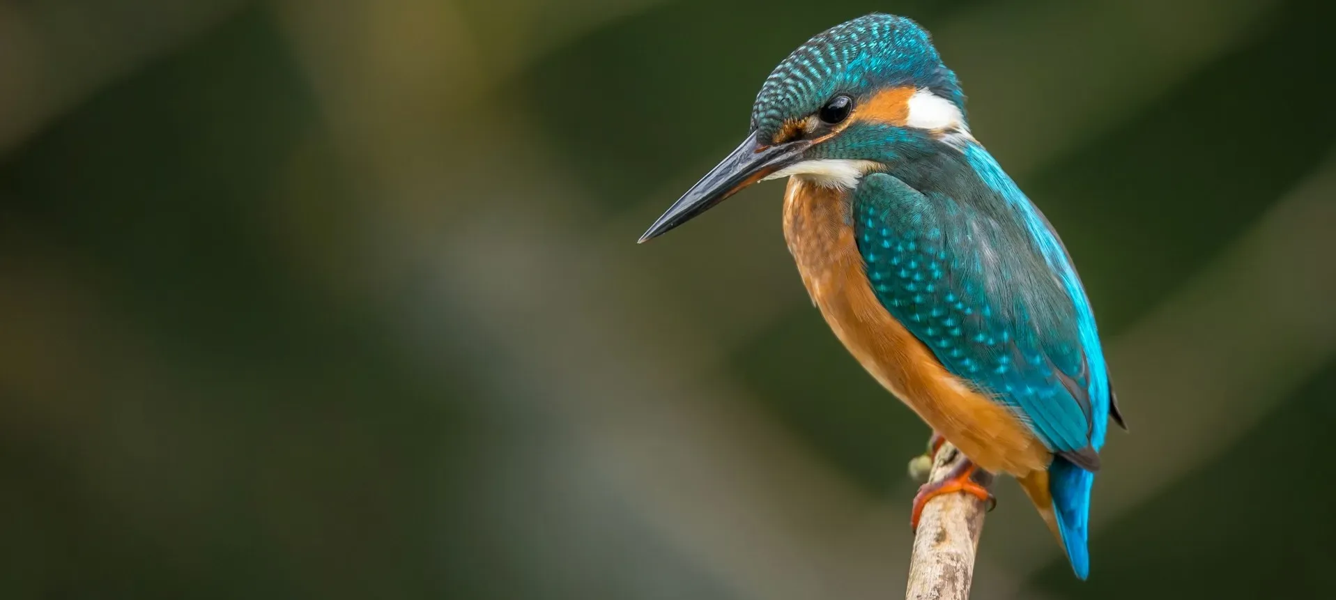 How to Prioritize Nature-Related Impacts and Risks: 3 Approaches