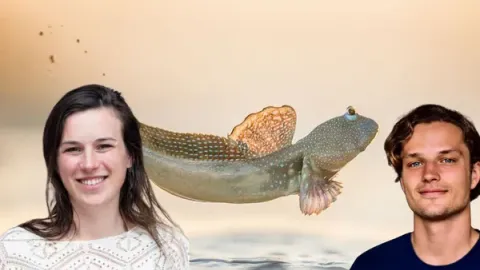 Biodiversity Investment: Where Money Meets Honey | FtH Ep. 3