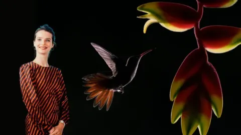 Biodiversity in the Boardroom: From Bullet Point to Strategic Priority | FtH Ep. 4