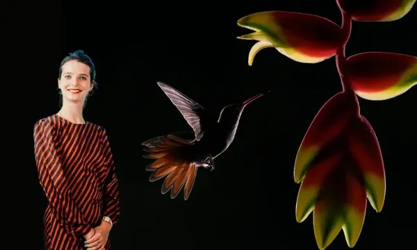 Biodiversity in the Boardroom: From Bullet Point to Strategic Priority