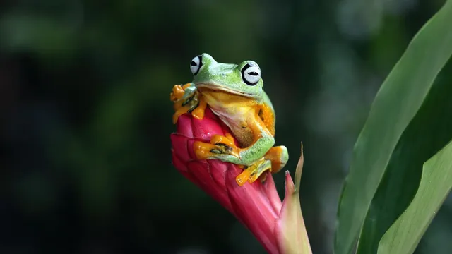 7 Reasons Why Your Business Must Prioritize Biodiversity