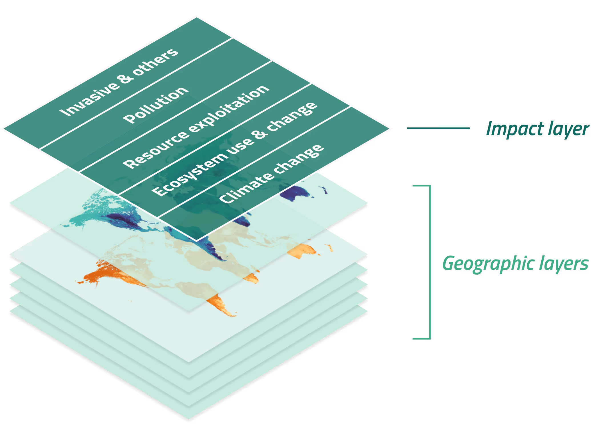 Layered impact and geographic analysis in the Spirefly workbench